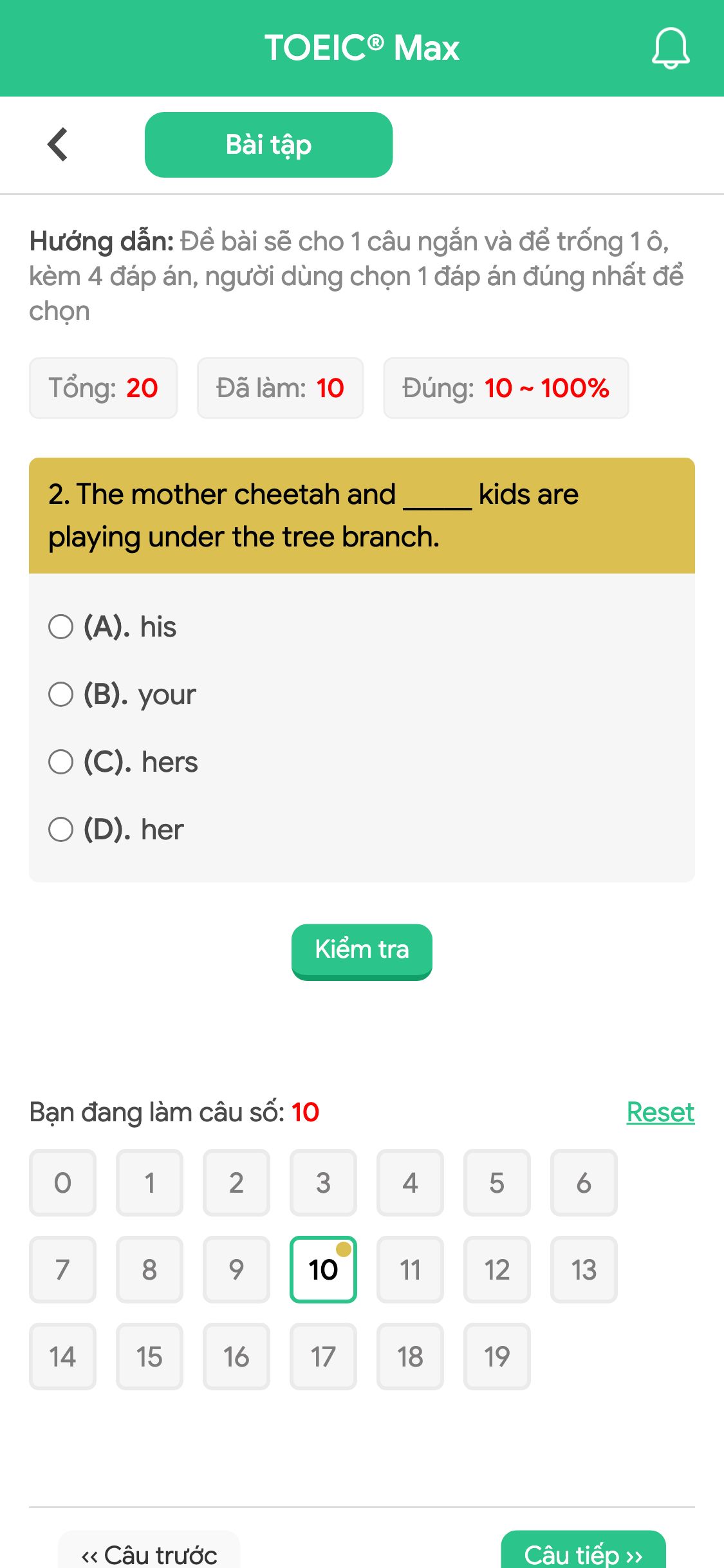 2. The mother cheetah and _____ kids are playing under the tree branch.