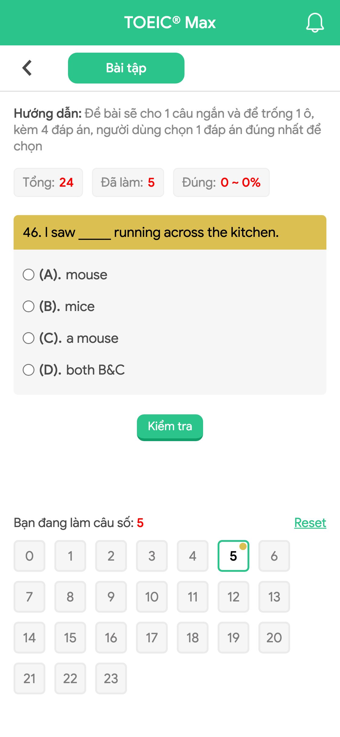 46. I saw _____ running across the kitchen.